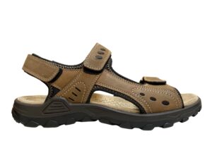 3116 27 Brown